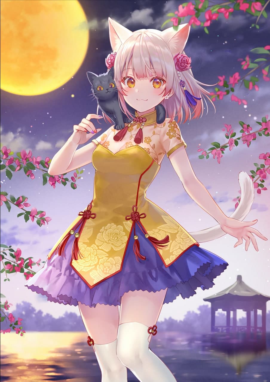 今日冬至 - 猫语星辰
